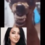 Crazy Dog Laugh Meme (copy)