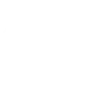 Placid Plastic Disco Duck