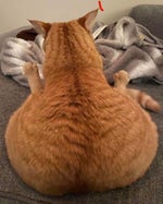 do you guys smoke? "used for trolling"