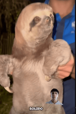 dale que me cago quemando