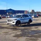 Toasted on a creamy creature. Featuring, the Creature.