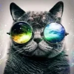 smile if you hate phonk