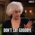 Dont say goodbye