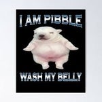 I am pibble wash my belly