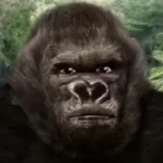 spaceMonkeyYouSoundBlack