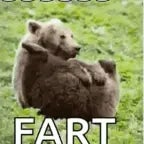 fart
