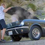 Oh Merde, c'est ma femme !