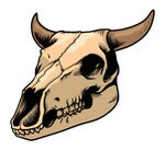 AMOGUS Original meme Sound Effect MEME Among Us Meme