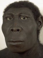 generation de tahan fahanvoice - Sound