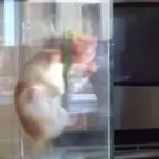 Gary hes hanging himself