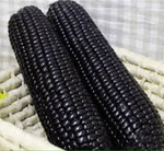 MTSG Bass money fancy clothes (Richest Killers) (Lyrics) - Sound