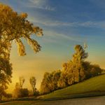 sound effect anjing ngejar