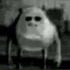 Relec dans mon kesac