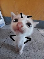 FNAF SISTER LOCATION SONG You Can't Hide by CK9C [Official SFM]