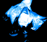 blanc (slowed) SHO - Tema (1)