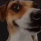 California girls (copy)