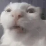 Helikopter Helikopter