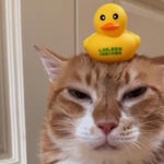 fss - swagness / aura farmer music