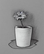 (Verso 1)
Bi, uma flor em