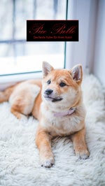 Rock mi (Karaoke Version)