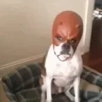 i think im gonna die in this house