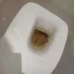 liqus dodaj dygydysz