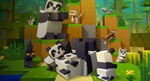 Panda - Aggressive 2