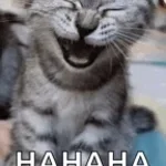 Hahahahaha