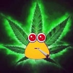 guy with deep voice says hello there