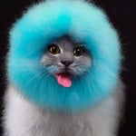 We love we love we lie