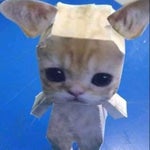 Caras (Victor Muntean)