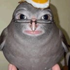 were going to need alot of butter