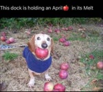 Pan smack sound effect louder - Sound