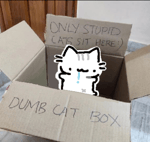 Excitebike Arena Mario Kart 8 Deluxe OST