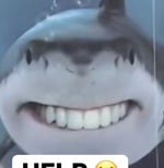 Pipi und kaki and pipi kakaland