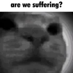 la soufrance sera partager