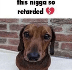 islam world flag animation but it's earrape