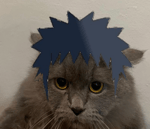 Steel Ball Run Alternate Diego Brando Meets Johnny Joestar Mang