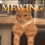 Mewing Satuardo