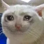 nao-consegue-ne_233542