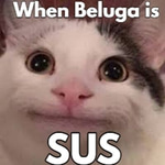 SUS sound effect