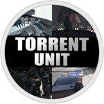 Torrent Unit Judge Hammer