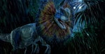 Dilophosaurus Roar 6