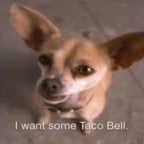 Yo quiera Taco Bell