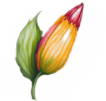 turn volume down if you value your ears