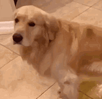 Reconocen a un héroe solo con verlo