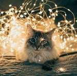 mexican oldschool rap