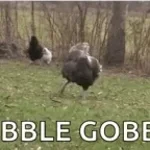 gobble