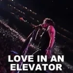 Elevator Song