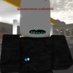 do you think shadow is okay